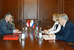 Руководство Саратова встретилось с руководством Австрийской торгово-экономической миссии в РФ